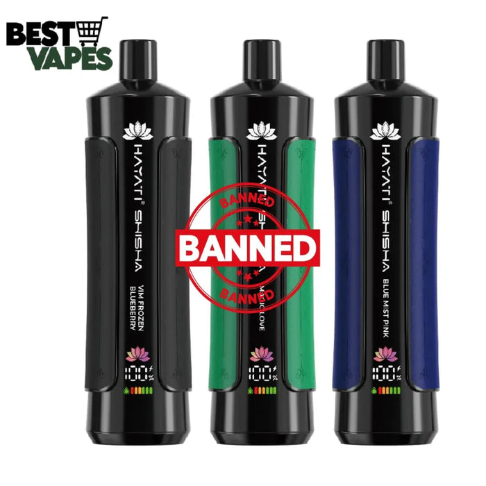 Box Of 10 Hayati Shisha 15000 Disposable Vape || Best Price Electronic Cigarettes