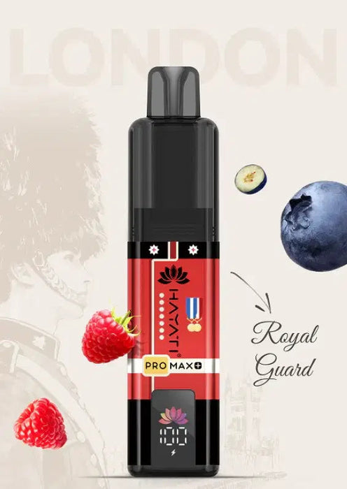 Hayati_Pro_Max_6K_Souvenir_Edition_England_Royal_Guard_Bestvapes